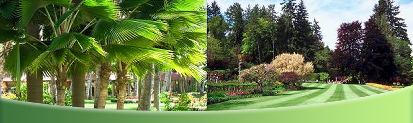 Landscaping Services And Landscape Design Jacksonville Fl